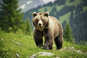 ai généré marron ours en mouvement sur le vert Prairie dans printemps la nature. ai généré photo