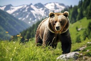 ai généré marron ours en mouvement sur le vert Prairie dans printemps la nature. ai généré photo