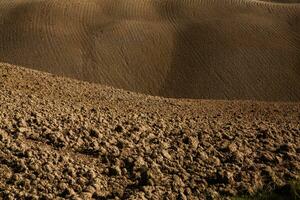 récolté des champs et prés paysage dans toscane, Italie. ondulé pays paysage à l'automne le coucher du soleil. arable terre prêt pour le agricole saison. photo