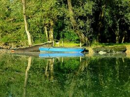 une bleu bateau est garé sur le rive de une Lac photo