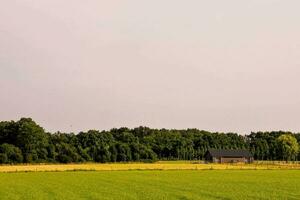 une ferme dans le milieu de une champ photo