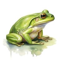 ai généré aquarelle vert grenouille sur blanc Contexte. ai généré photo