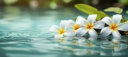 ai généré plumeria fleurs sur vert feuille flottant sur l'eau. une paisible et serein scène avec une toucher de la nature et beauté. ai généré photo