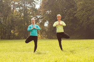 deux femme Faire yoga dans la nature. photo