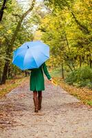 femme en portant parapluie et tomber feuilles tandis que en marchant dans le parc. photo