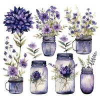 ai généré collection de aquarelle le maçon pots avec violet fleurs clipart. ai généré photo