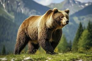 ai généré marron ours en mouvement sur le vert Prairie dans printemps la nature. ai généré photo