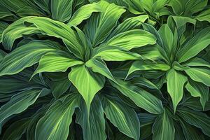 ai généré une plante avec beaucoup de grand vert feuilles. ai généré photo