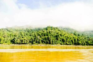 une rivière avec Jaune l'eau et vert des arbres photo