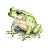 ai généré aquarelle vert grenouille sur blanc Contexte. ai généré photo