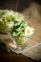 printemps salade avec de bonne heure chou, concombres, des œufs et vert oignons photo