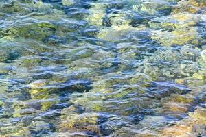 le l'eau est clair et bleu avec beaucoup de les plantes photo