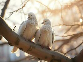ai généré photo de mignonne blanc pigeons sur le arbre. haute résolution. ai génératif