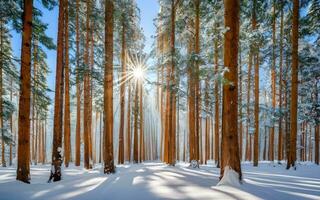 ai généré hiver pays des merveilles sérénité, majestueux forêt couvert dans parfait neige photo