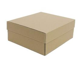 marron papier carton boîte pour livraison isolé photo