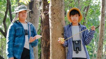 Jeune asiatique garçons sont en utilisant une mesure ruban à mesure une arbre dans une local parc, doux et sélectif concentrer photo