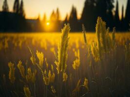 ai généré embrasé des champs de hiver doux concentrer le coucher du soleil Prairie avec Jaune fleurs la nature embrasser. une symphonie de couleurs chaud hiver le coucher du soleil Prairie avec abstrait doux concentrer la nature harmonie. photo