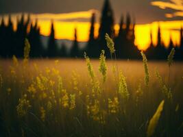 ai généré abstrait doux concentrer le coucher du soleil champ paysage de Jaune fleurs et herbe Prairie chaud d'or heure le coucher du soleil lever du soleil temps. tranquille printemps été la nature fermer et flou forêt Contexte. photo