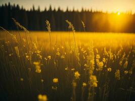 ai généré abstrait doux concentrer le coucher du soleil champ paysage de Jaune fleurs et herbe Prairie chaud d'or heure le coucher du soleil lever du soleil temps. tranquille printemps été la nature fermer et flou forêt Contexte. photo