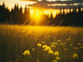 ai généré abstrait doux concentrer le coucher du soleil champ paysage de Jaune fleurs et herbe Prairie chaud d'or heure le coucher du soleil lever du soleil temps. tranquille printemps été la nature fermer et flou forêt Contexte. photo