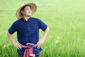 asiatique homme agriculteur porte chapeau, bleu chemise, mettre mains sur taille, des stands à paddy champ. concept, agriculture profession, thaïlandais agriculteur. photo