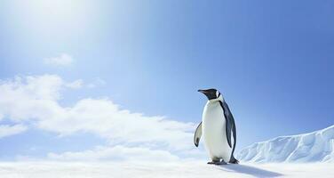 ai généré manchot permanent dans Antarctique à la recherche dans le bleu ciel. ai généré photo