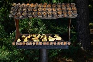 nichoir marron en bois, mangeoire installée dans le parc. soins aux oiseaux sauvages, maison et nourriture. nid d'oiseau au printemps photo