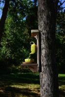 une mangeoire à oiseaux en forme de théière et de tasse .la mangeoire est installée sur un arbre dans le parc. soins aux oiseaux sauvages, maison et nourriture. nid d'oiseau au printemps photo