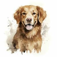 ai généré aquarelle chien agrafe art sur blanc Contexte. ai généré photo