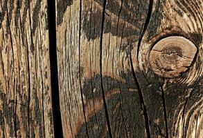 proche en haut de une en bois planche avec une nœud photo