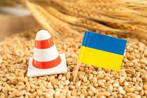 grains de blé avec drapeau de l'ukraine, exportation commerciale et concept d'économie. photo