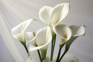 ai généré blanc mariage la nature lis beauté fleur plante fleur flore calla. ai généré photo