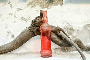 une rouge verre bouteille séance dans de face de une arbre branche photo