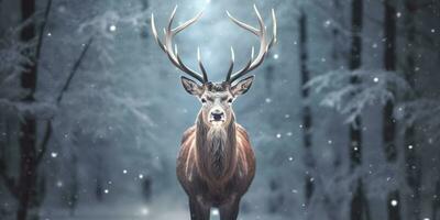 ai généré noble cerf Masculin dans le hiver neige forêt. artistique hiver Noël paysage. ai généré photo