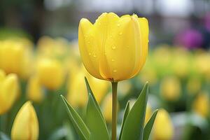 ai généré Jaune tulipe dans le jardin. ai généré photo