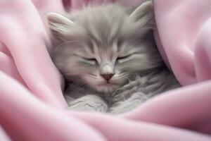 ai généré une gris mignonne chaton pacifiquement somnole de sur une doux rose couverture photo