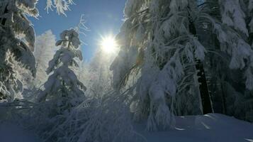 ai généré une serein hiver scène de une neigeux forêt avec grand des arbres couvert dans neige, création une pittoresque paysage. génératif ai photo