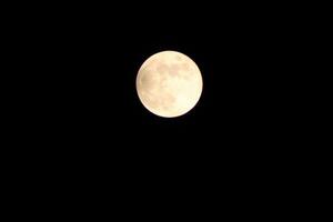 plein lune brillant brillant dans le nuit photo