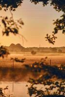 brouillard plus de des champs dans d'or Matin lumière photo