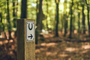 équitation chemin signe dans le les bois avec directions photo