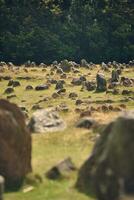 viking cimetière à Lindholm aujourd'hui dans Danemark photo