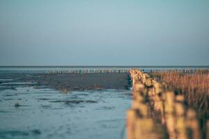 vasières à faible marée dans Friedrichskoog, Allemagne photo