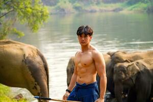 fermer asiatique Beau cornac avec parfait corps agissant pour une photo tirer sur troupeau de asiatique éléphants Contexte.