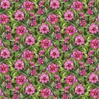 sans couture modèle de aquarelle saintpaulia fleurs. floral botanique numérique papier photo