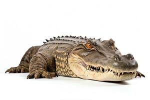 ai généré sauvage crocodile clipart photo