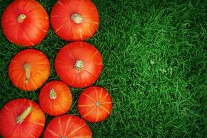 Orange mûr citrouilles mensonge sur une vert pelouse. récolte, saison. Halloween est une vacances. photo