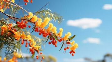 ai généré mimosa bifurquer, fleurs, arbre bifurquer, branche Cadre animation photo