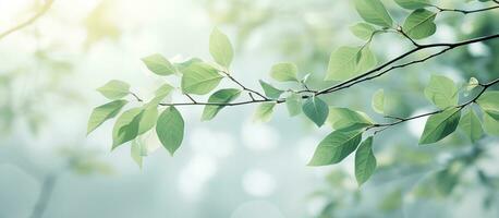 ai généré vert feuilles dans une arrière-plan, photo