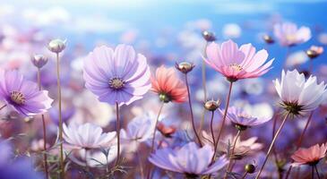 ai généré fleur Prairie fond d'écran photo