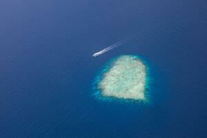 des oiseaux œil aérien Haut vue de bateau croisière dans cristal clair turquoise mer l'eau. aérien voile bleu mer voir, proche à atoll corail récif peu profond océan baie. exotique Voyage destination verticale paysage marin photo